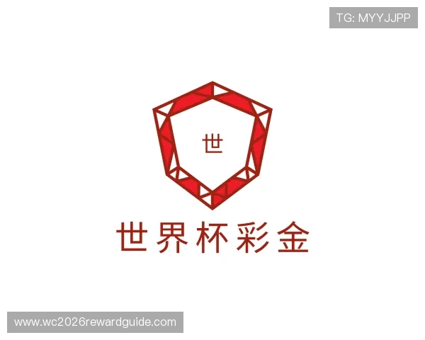 了解世界杯彩金